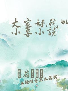 大家好,我叫林小喜小说