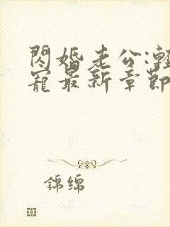闪婚老公:轻点宠最新章节目录