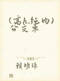 (高h,纯肉)公交车