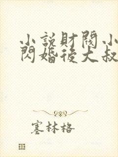 小说财阀小娇妻闪婚后大叔他把持不住了