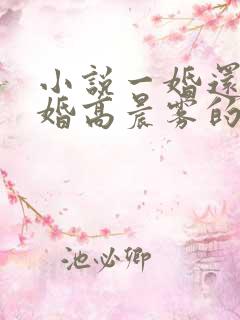 小说一婚还比一婚高晨雾的光