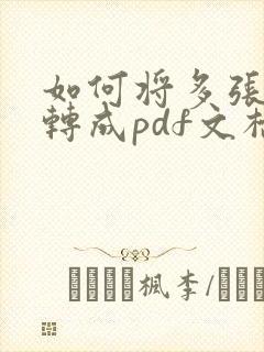如何将多张图片转成pdf文档