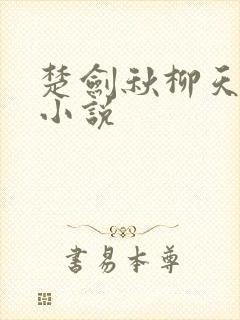 楚剑秋柳天瑶 小说