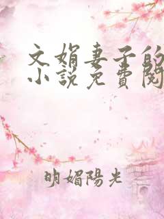 文娟妻子的日记小说免费阅读