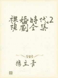 裸婚时代2 电视剧全集