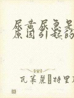 尿黄尿急是什么原因引起的