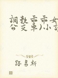 调教乖乖女h(公交车)小说