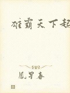 雄霸天下起点