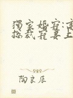 独家婚宠:高冷总裁宠妻上瘾