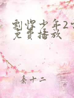剽悍少年2电影免费播放