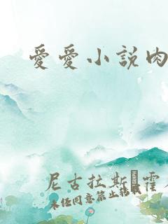爱爱小说肉肉