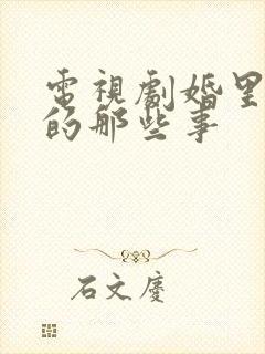 电视剧婚里婚外的那些事