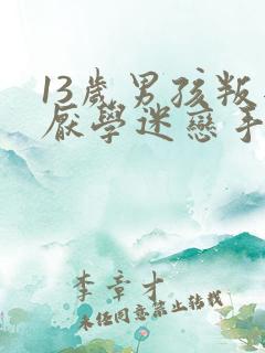13岁男孩叛逆厌学迷恋手机怎么办