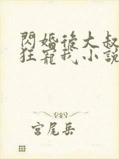 闪婚后大叔每天狂宠我小说