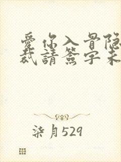 爱你入骨隐婚总裁请签字未删减版