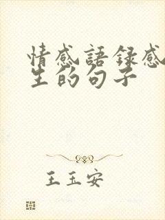 情感语录感悟人生的句子