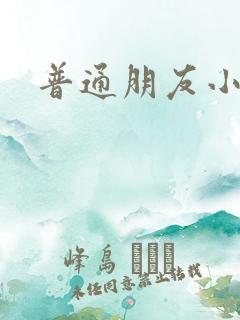 普通朋友小说