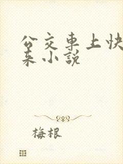 公交车上快插进来小说