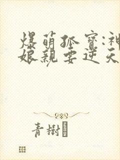 爆萌孤宝:神医娘亲要逆天