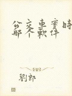 公交车实时查看哪个软件