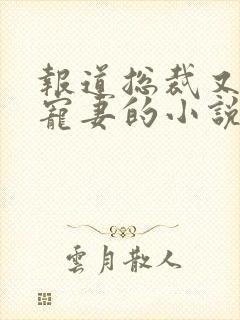 报道总裁又甜又宠妻的小说