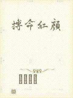 搏命红颜