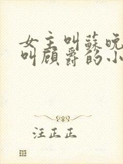 女主叫苏晚男主叫顾爵的小说名字