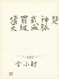 修罗武神楚枫的天级血脉