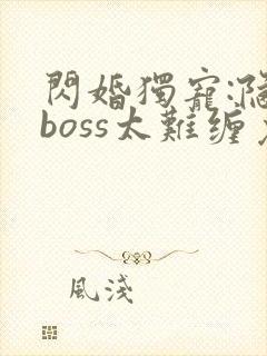 闪婚独宠:隐婚boss太难缠免费阅读