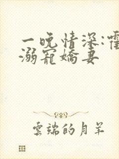 一晚情深:霍少溺宠娇妻