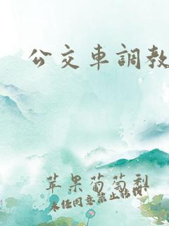 公交车调教文