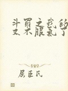 斗罗之我的系统又不服气了免费小说