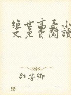 绝世高手小说全文免费阅读