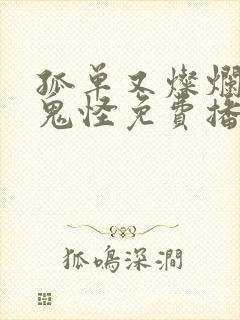 孤单又灿烂的神鬼怪免费播放