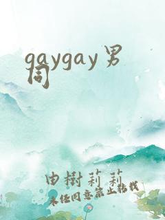 gaygay男同