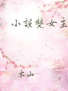 小说双女主h