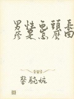 男性龟头长珍珠疹是怎么回事