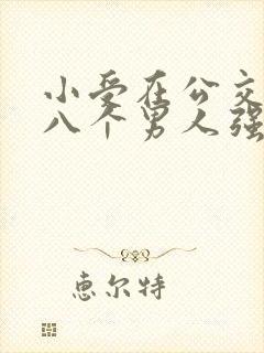 小受在公交车被八个男人强