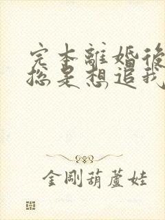 完本离婚后前夫总是想追我