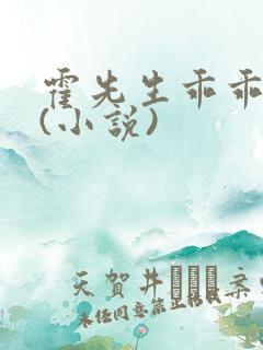 霍先生乖乖宠我(小说)