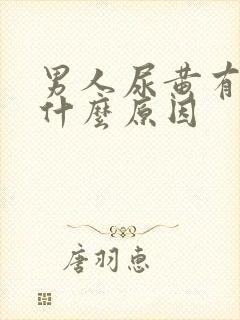 男人尿黄有沫是什么原因