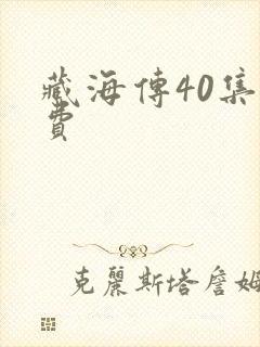 藏海传40集免费