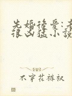 先婚后爱:老公很凶猛小说电子版txt