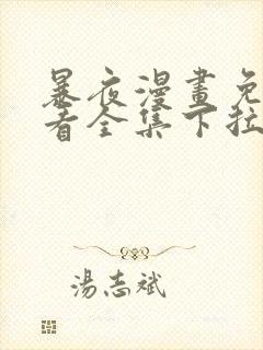 暴夜漫画免费观看全集下拉式