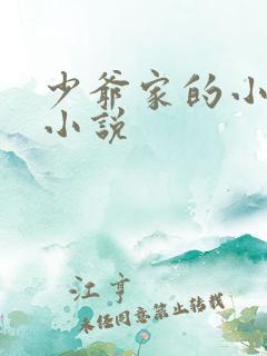 少爷家的小女仆小说