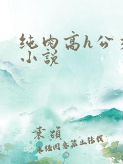 纯肉高h公交车小说