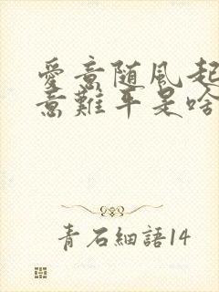 爱意随风起风止意难平是啥意思