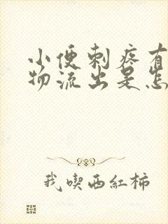 小便刺疼有分泌物流出是怎么回事