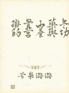 排骨山药冬瓜汤的营养与功效