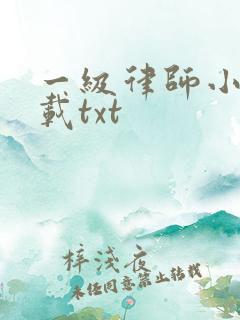 一级律师小说下载txt